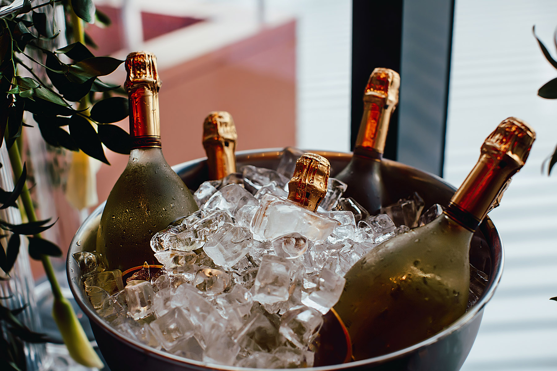 Ice Cubes London | Five wine bottles chill in ice bucket | The Ice Factory London